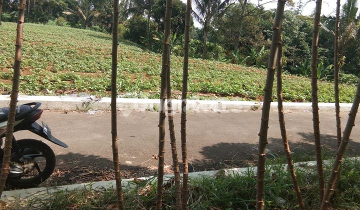 LAND FOR SALE CHEAP PRICE