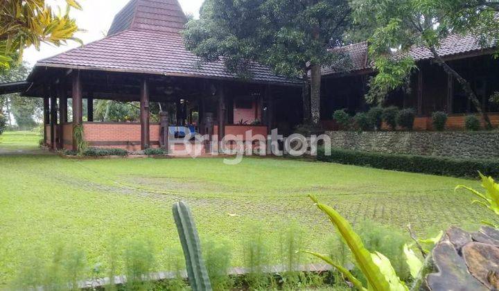 VILLA DIJUAL LOKASI BAGUS HARGA MIRING 1