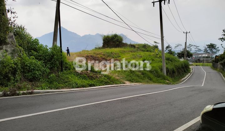 TANAH DI PUNCAK DEKAT LEGENDA WISATA TANAH DI PUNCAK DEKAT LEGENDA WISATA