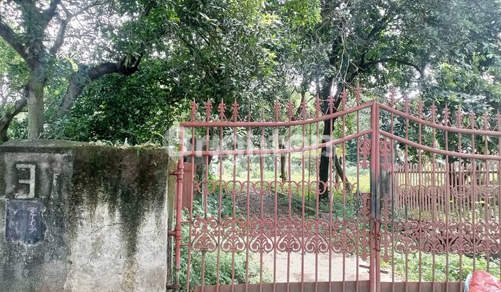 DIJUAL TANAH DATAR LOKASI BAGUS DAN STRATEGIS DIJUAL TANAH DATAR LOKASI BAGUS DAN STRATEGIS