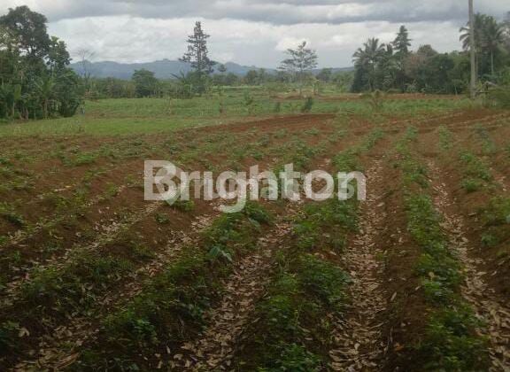 LAND FOR SALE, FLAT WITH MOUNTAIN VIEWS