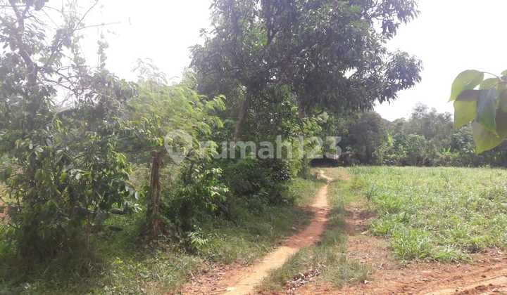 Land for Sale in Subang, Ideal for Investment Near Factories. Negotiable Price Until Deal is Made.