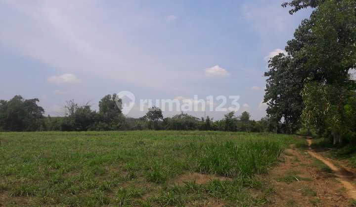 Land for Sale in Subang, Ideal for Investment Near Factories. Negotiable Price Until Deal is Made.