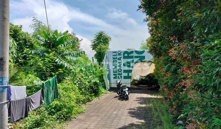 Cheap Land Near Keramas Beach, Gianyar