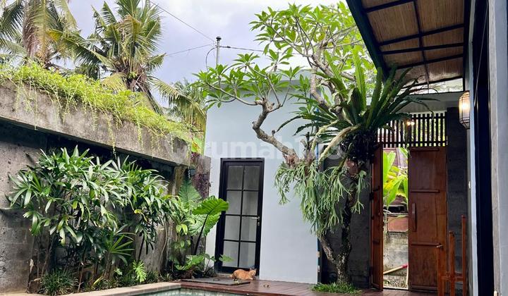 Cheap Villa Rent Full Furnish Ready to Occupy in Lodtunduh