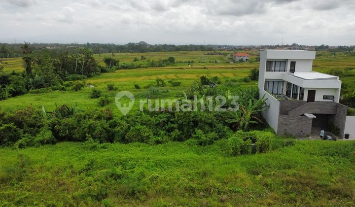 Land in Strategic Location with Sea View in Cemagi Land in Strategic Location with Sea View in Cemagi