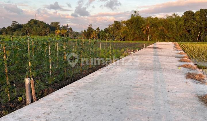 Tanah Zona Pariwisata Strategis Di Kedungu, Tabanan