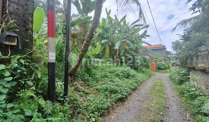 Tanah Strategis Cocok Untuk Villa Di Area Ubud 1