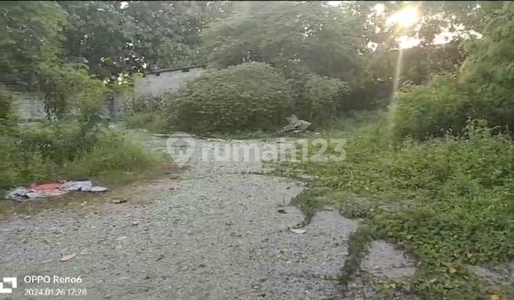 Dijual Tanah Shm 5000 Meter ² Di Cikupa , Tangerang