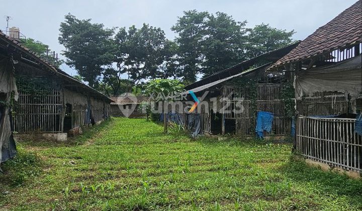 Land For Sale Below Market Price Located On The Main Road Axis Land For Sale Below Market Price Located On The Main Road Axis