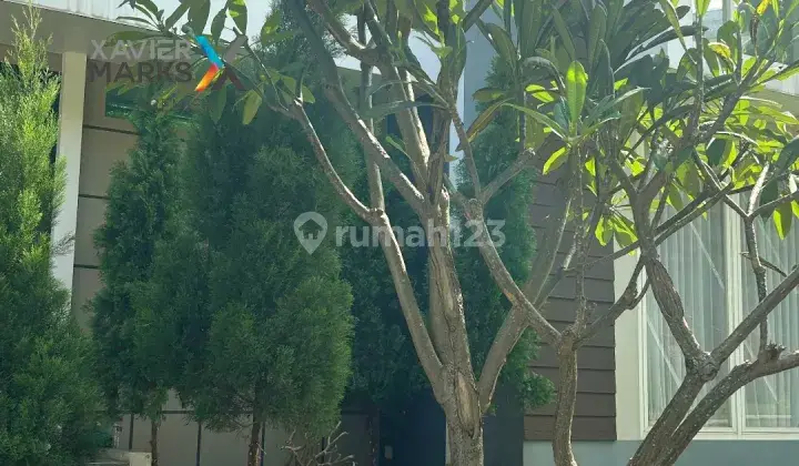 Rumah Minimalis Modern Taman Dayu-nego Sampai Deal 2