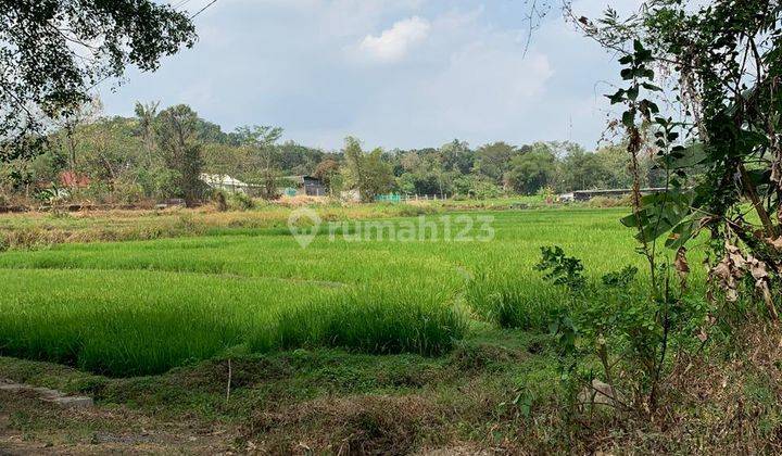 Tanah Luas View Pemandangan Persawahan 1