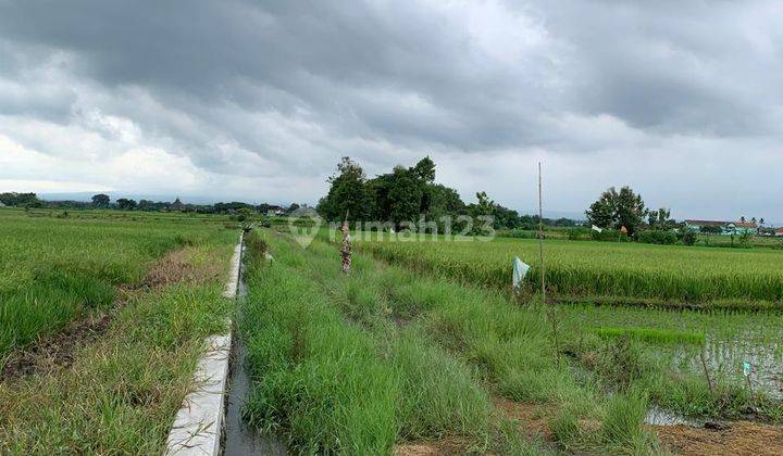 Tanah Murah Air Mudah 2