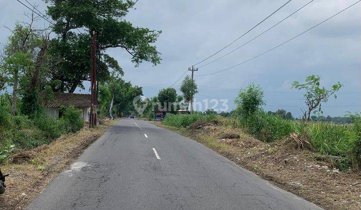 Sawah Strategis Pinggir Jalan Raya 2