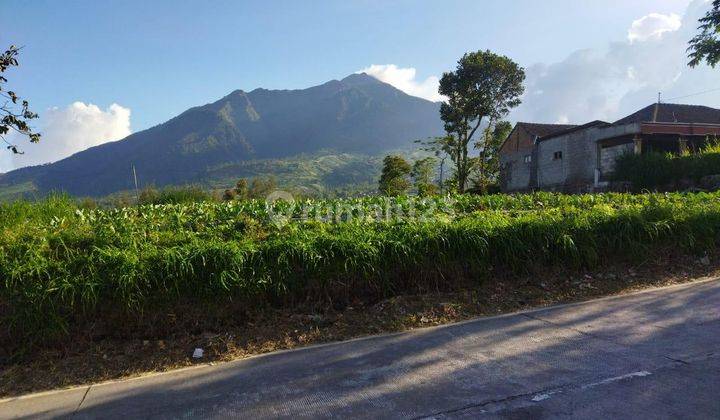 Tanah Luas Pinggir Jln Provinsi Di Kawasan Tempat Wisata 1