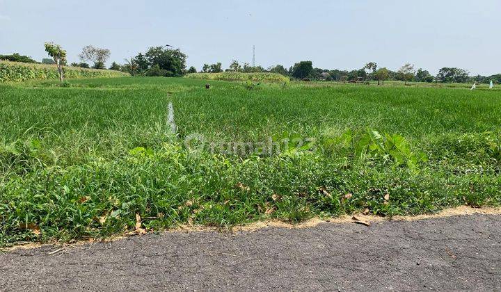 Tanah Sawah Luas Pengairan Lancar 1