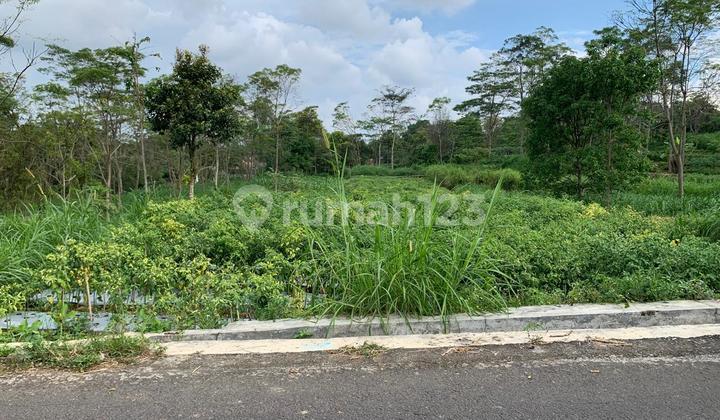 Tanah Subur Berhawa Sejuk Cocok Buat Tempat Tinggal 1