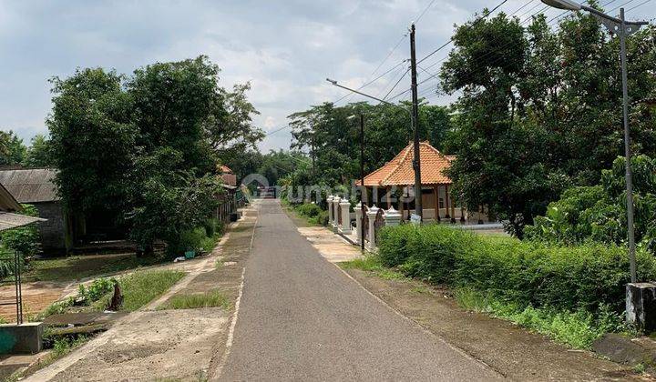 Tanah Pekarangan Luas Cocok Untuk Usaha 2