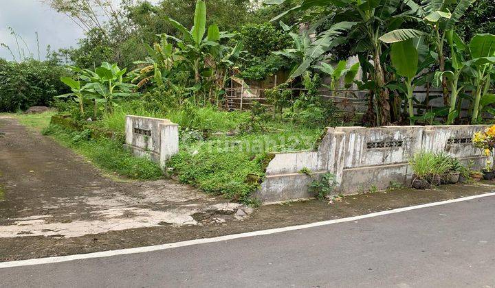 Pekarangan Hook Dekat Pengging  1