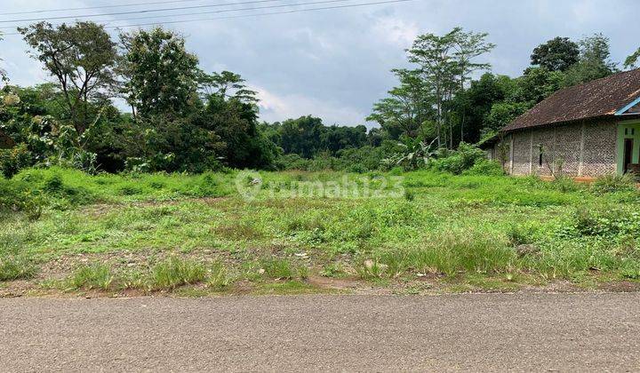 Tanah Pekarangan Luas Cocok Untuk Usaha 1