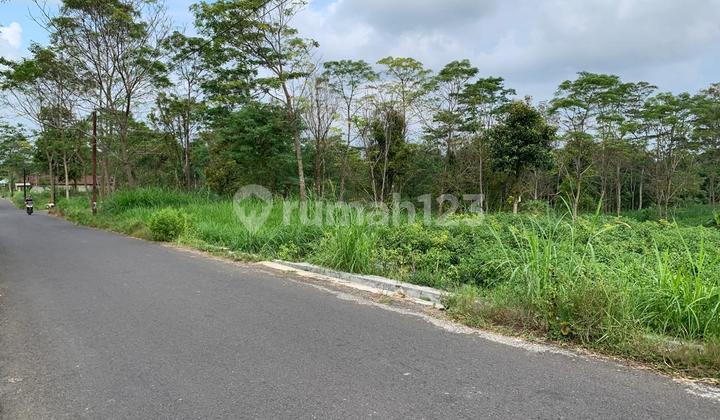 Tanah Subur Berhawa Sejuk Cocok Buat Tempat Tinggal 2