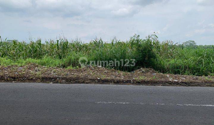 Sawah Strategis Pinggir Jalan Raya 1