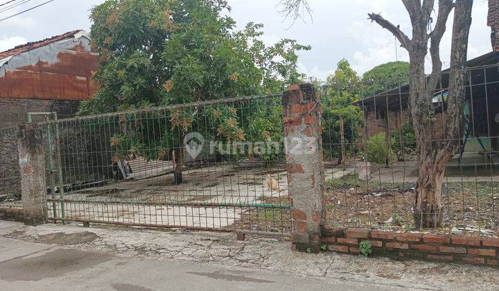 Tanah dijual Bonus Rumah Luas, Babelan, Bekasi 3 menit RS Ananda 2