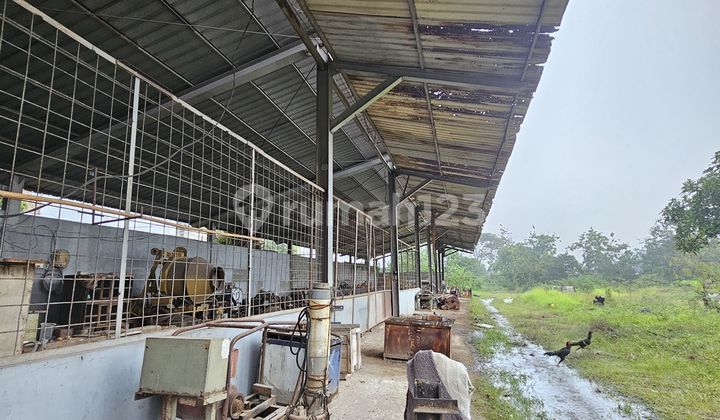 Gudang Padat Karya Kawasan Pergudangan Row Jalan Luas Curug Tangerang Gudang Padat Karya Kawasan Pergudangan Row Jalan Luas Curug Tangerang