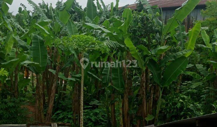 Tanah Kosong 1200m Serba Guna Row Jalan Luas di Desa Babat Legok. 2