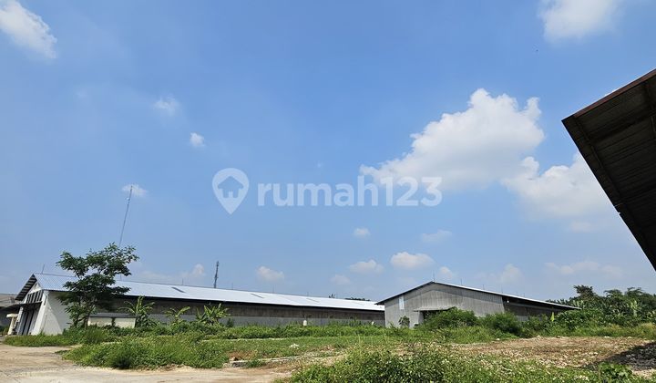 Multi-Purpose Warehouse in Strategic Industrial Zone, Ciakar Curug Tangerang Multi-Purpose Warehouse in Strategic Industrial Zone, Ciakar Curug Tangerang