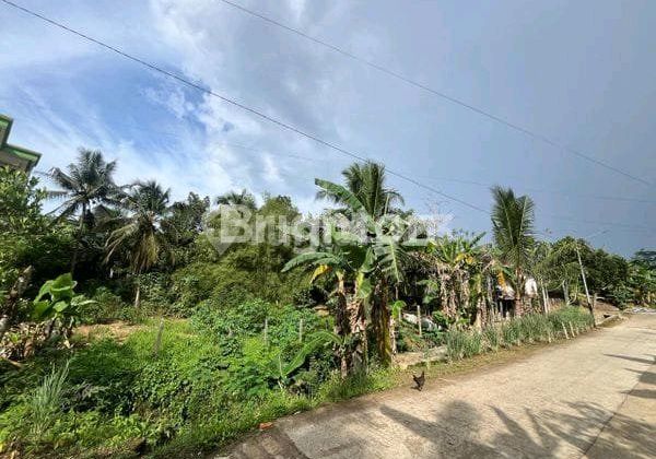 Land in Palaran 2000 M² Certificate