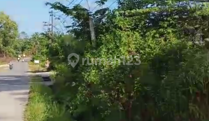 Tanah Siap Bangun Kondisi Datar,di Penajam Paser Utara Tanah Siap Bangun Kondisi Datar,di Penajam Paser Utara