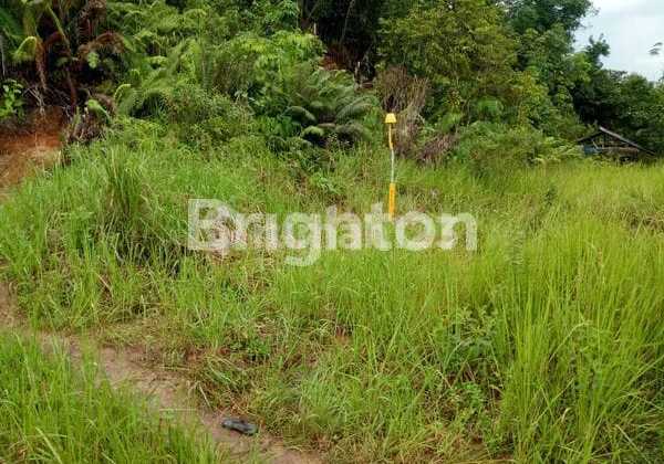 Tanah Kavling Dijual Di di Jl. Kh. Harun Nafsi No. 5, Kelurahan Rapak Dalam, Loa Janan Ilir, Kota Samarinda, Kalimantan Timur, Indonesia, 75131, Samarinda Seberang Tanah Kavling Dijual Di di Jl. Kh. Harun Nafsi No. 5, Kelurahan Rapak Dalam, Loa Janan Ilir, Kota Samarinda, Kalimantan Timur, Indonesia, 75131, Samarinda Seberang