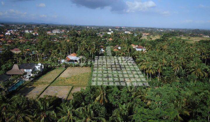 Tanah di Ubud Land  1