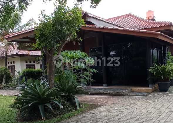 Spacious Green House with Swimming Pool Cheap in Sawangan 2