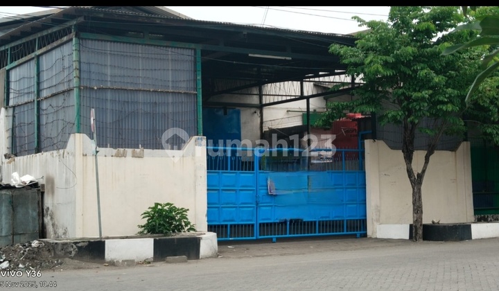 Warehouse for Sale in Maromulyo Pemai, Ready to Occupy Warehouse for Sale in Maromulyo Pemai, Ready to Occupy