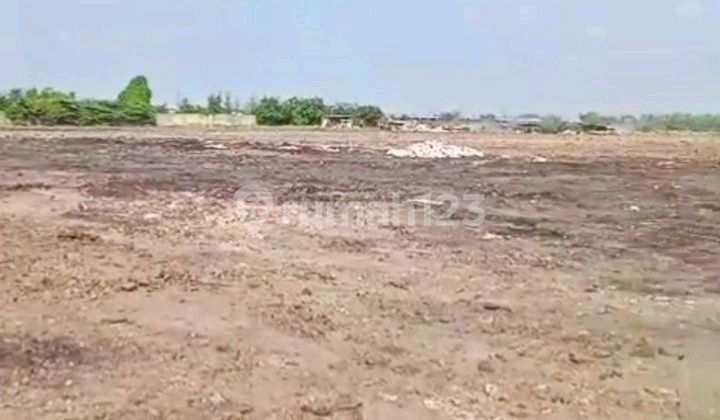 Termurah Sewa Tanah 14 Ha Di Marunda, Bisa Sewa Sesuai Kebutuhan Termurah Sewa Tanah 14 Ha Di Marunda, Bisa Sewa Sesuai Kebutuhan