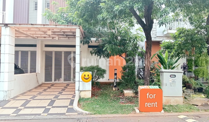 Murah Sewa Rumah 4 Br Bagus di Cluster Acacia, Summarecon Bekasi