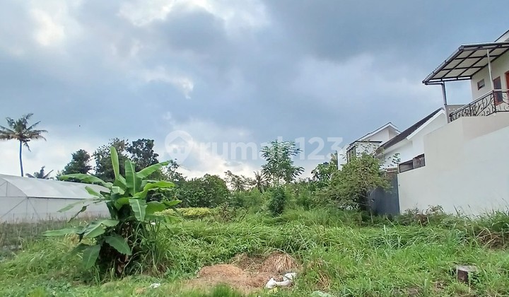 Tanah Premium di Dekat Jalan Kaliurang Km 11, Sleman Yogyakarta Tanah Premium di Dekat Jalan Kaliurang Km 11, Sleman Yogyakarta