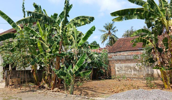 Rumah Dekat Studio Alam Gamplong 2