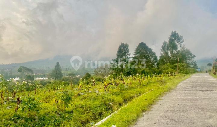 Land 2249 Square Meters, At the Foot of Mount Sindoro, Suitable for Glamping Land 2249 Square Meters, At the Foot of Mount Sindoro, Suitable for Glamping