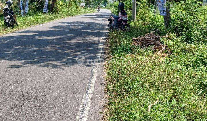 Tanah Sawah di Sindumartani Ngemplak Sleman Yogyakarta 2