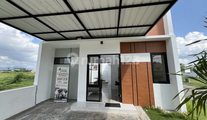 Rumah Scandinavian Harga 260 Juta an di Pusat Kota Jember