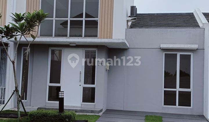 Paramount Petal Cluster Canna