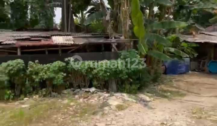 Dijual Tanah Dibawah NJOP di Kemang Jakarta Selatan Dijual Tanah Dibawah NJOP di Kemang Jakarta Selatan