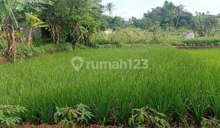 Dijual Tanah Cocok untuk Kosan atau Tempat Tinggal Lokasi di Jatinangor Dekat Unpad Bandung Dijual Tanah Cocok untuk Kosan atau Tempat Tinggal Lokasi di Jatinangor Dekat Unpad Bandung