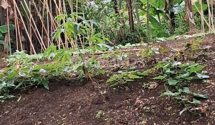 Dijual Tanah Sayap Pasteur Bandung Posisi Hook Lokasi Strategis Akses Mudah dan Siap Bangun