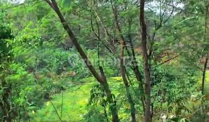 Dijual Tanah di Mainroad Cikalong Barat bisa di Bangun untuk Ruang Usaha Lokasi Strategis dan Akses Mudah Dijual Tanah di Mainroad Cikalong Barat bisa di Bangun untuk Ruang Usaha Lokasi Strategis dan Akses Mudah