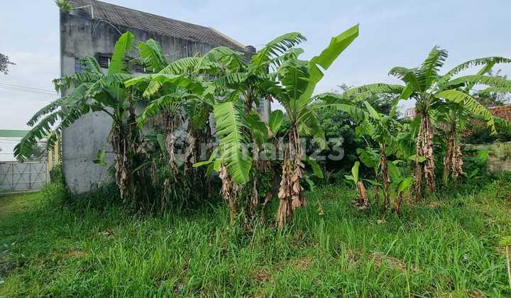 DIJUAL TANAH KAVLING SIAP BANGUN DI GAJAH MEKAR KUTAWARINGIN AKSES BESAR ZONA INDUSTRI LOKASI STRATEGIS DIJUAL TANAH KAVLING SIAP BANGUN DI GAJAH MEKAR KUTAWARINGIN AKSES BESAR ZONA INDUSTRI LOKASI STRATEGIS
