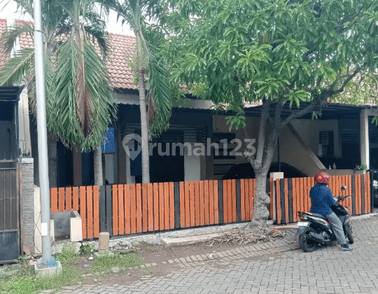 Disewakan Rumah Jambangan 1 Lantai 1